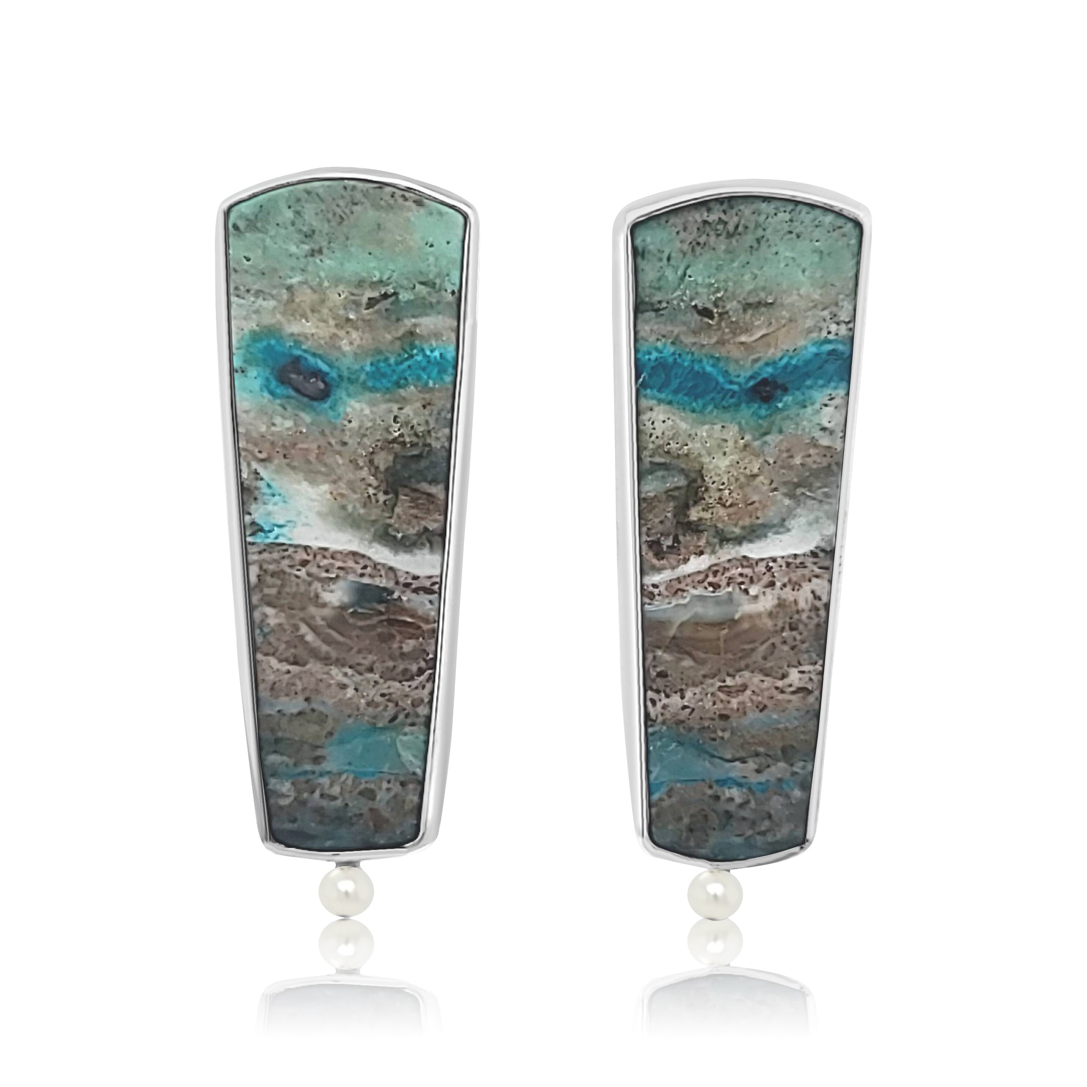 Opalized Wood Earrings
