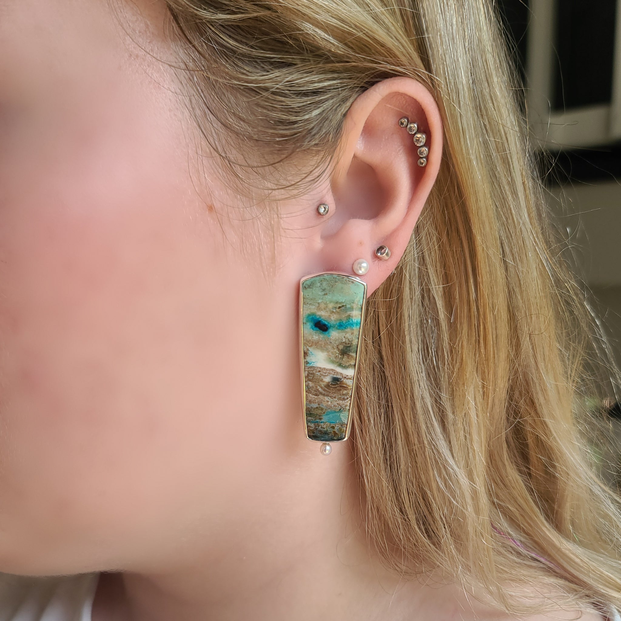 Opalized Wood Earrings